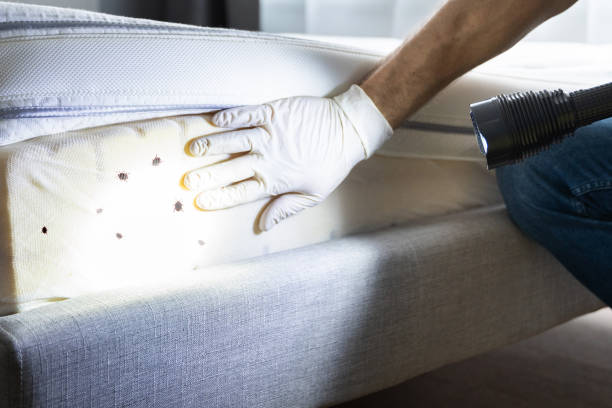 Best Pest Control Cost  in Lyford, TX